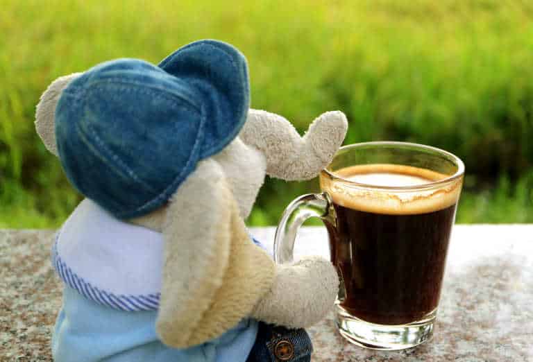 elephant coffee beans, Black Ivory Coffee