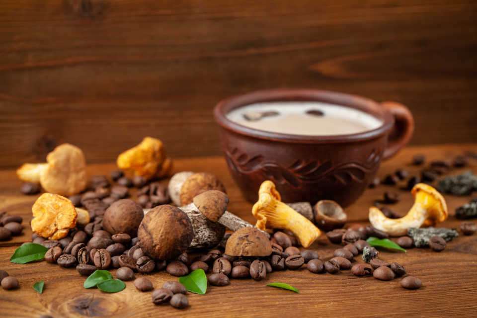 what's mushroom coffee, what is mushroom coffee, health benefits of mushroom coffee, mushroom coffee, is mushroom coffee a real thing