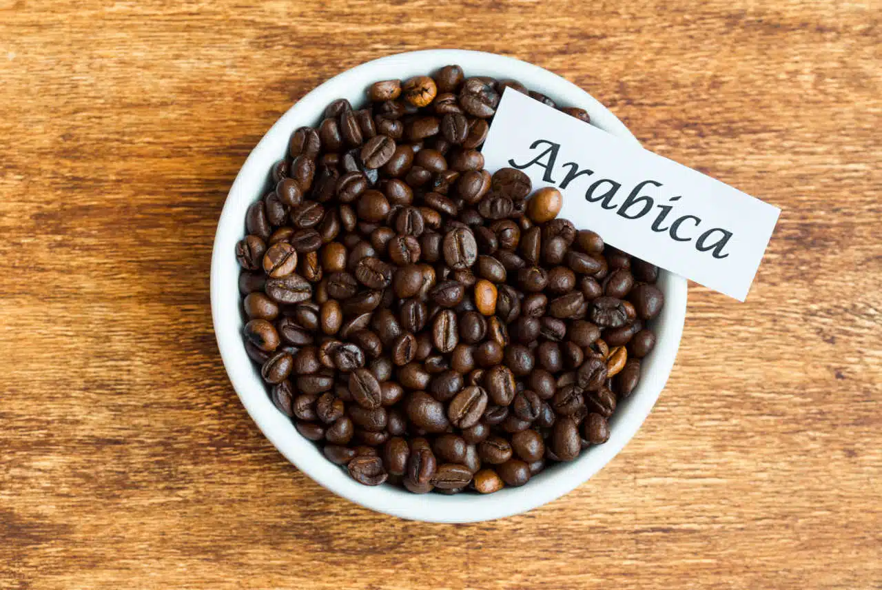 Arabica coffee, about arabica coffee, what's arabica coffee