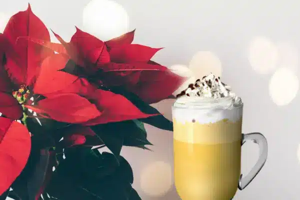 eggnog Coffee, Christmas coffees, homemade eggnog recipe, how to make eggnog coffee